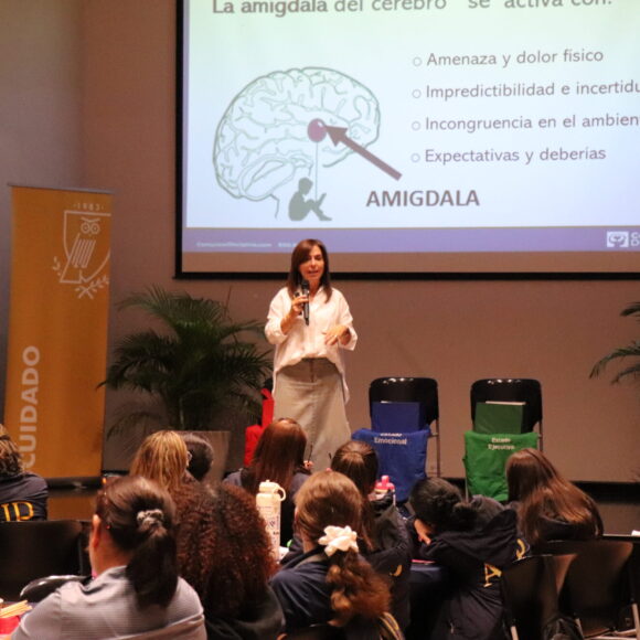 Desarrollo profesional